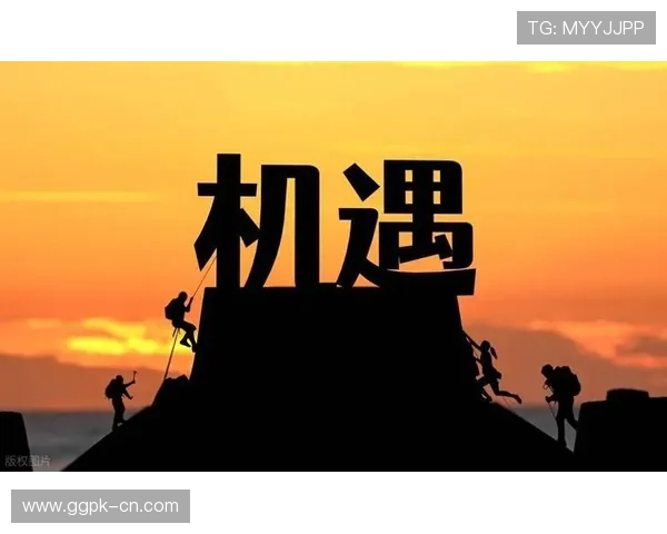 解析冠军国际版中的职业选手成长路径与机遇