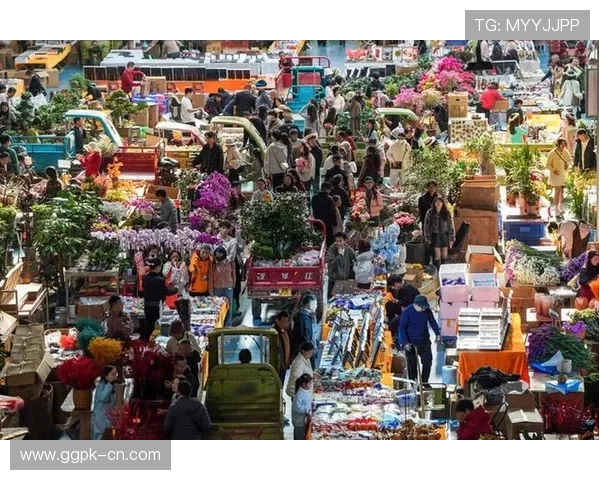 百合国际娱乐城：多样化的支付方式，方便快捷的存取款体验让你无忧游戏